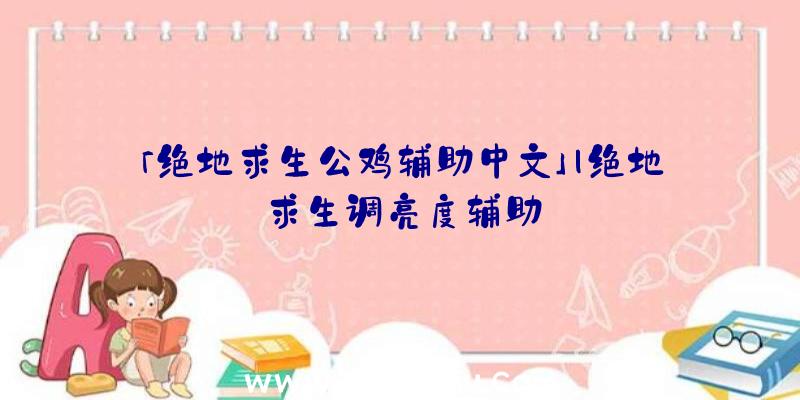 「绝地求生公鸡辅助中文」|绝地求生调亮度辅助